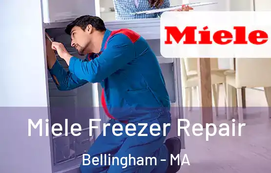  Miele Freezer Repair Bellingham - MA