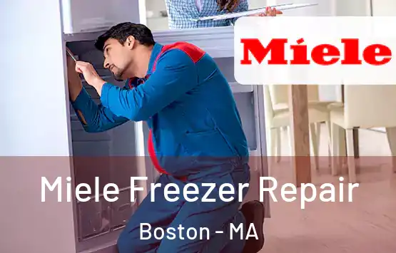  Miele Freezer Repair Boston - MA