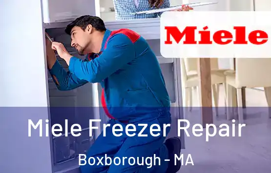  Miele Freezer Repair Boxborough - MA