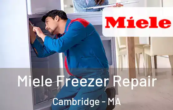  Miele Freezer Repair Cambridge - MA