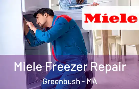  Miele Freezer Repair Greenbush - MA