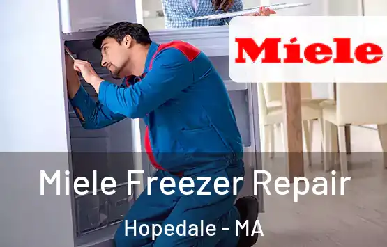  Miele Freezer Repair Hopedale - MA