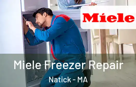  Miele Freezer Repair Natick - MA