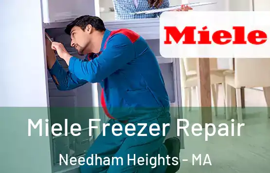  Miele Freezer Repair Needham Heights - MA