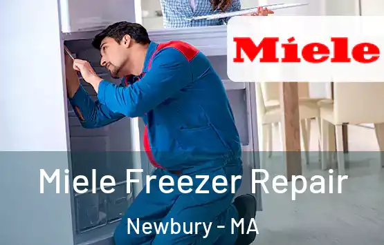  Miele Freezer Repair Newbury - MA