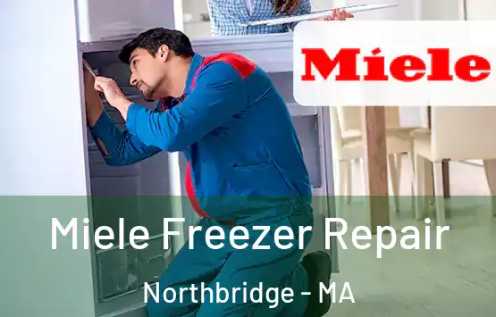  Miele Freezer Repair Northbridge - MA
