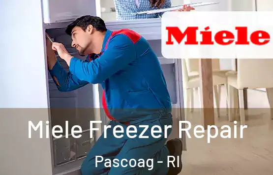  Miele Freezer Repair Pascoag - RI