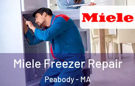  Miele Freezer Repair Peabody - MA