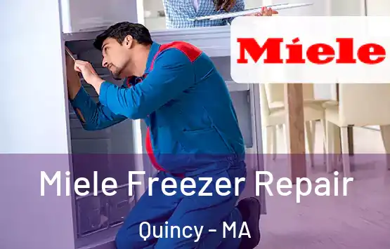  Miele Freezer Repair Quincy - MA