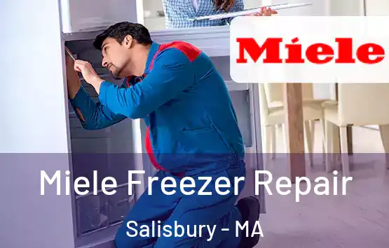  Miele Freezer Repair Salisbury - MA