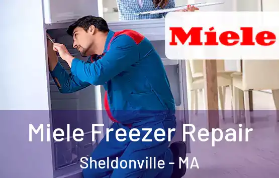  Miele Freezer Repair Sheldonville - MA