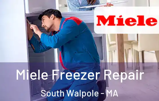  Miele Freezer Repair South Walpole - MA