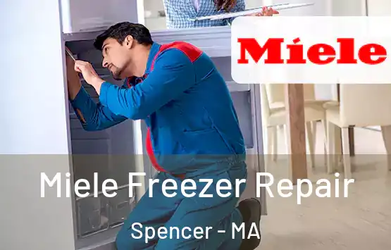  Miele Freezer Repair Spencer - MA