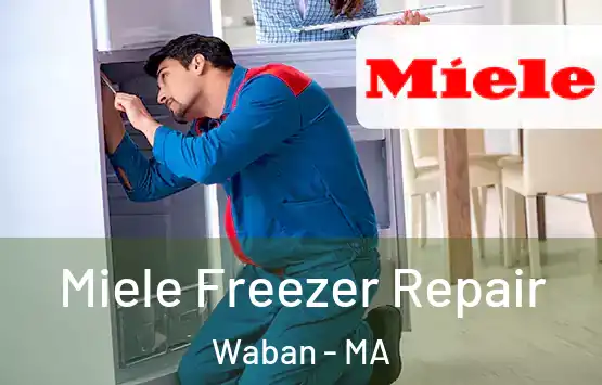  Miele Freezer Repair Waban - MA
