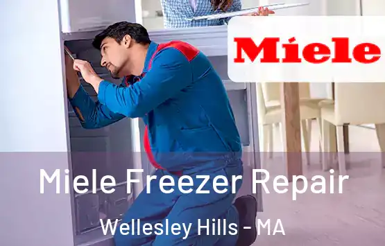  Miele Freezer Repair Wellesley Hills - MA