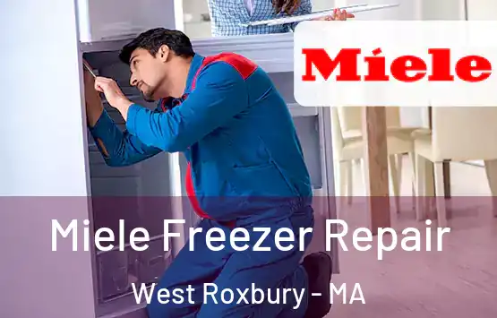  Miele Freezer Repair West Roxbury - MA