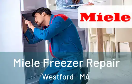  Miele Freezer Repair Westford - MA
