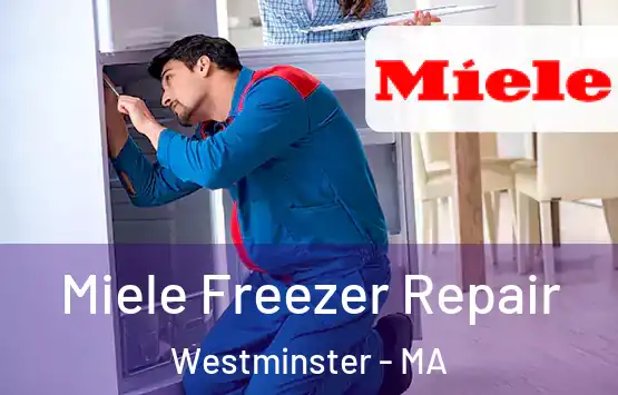  Miele Freezer Repair Westminster - MA