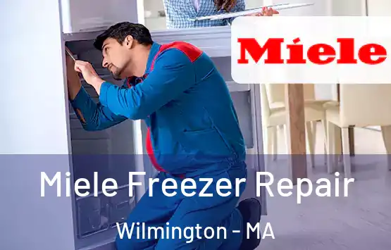  Miele Freezer Repair Wilmington - MA
