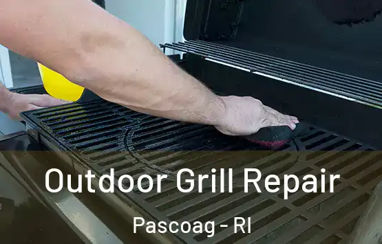  Outdoor Grill Repair Pascoag - RI