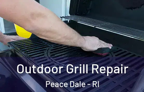  Outdoor Grill Repair Peace Dale - RI