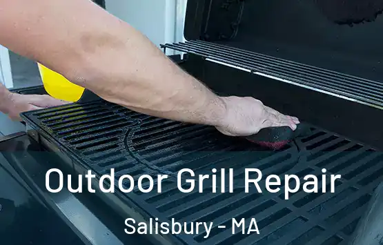  Outdoor Grill Repair Salisbury - MA