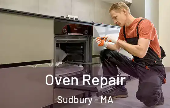  Oven Repair Sudbury - MA