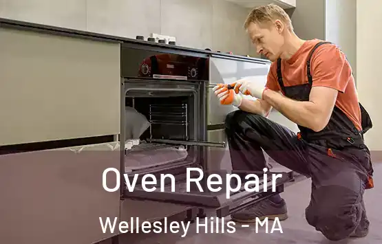  Oven Repair Wellesley Hills - MA