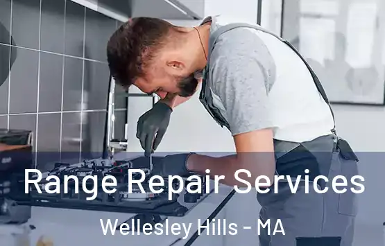  Range Repair Services Wellesley Hills - MA