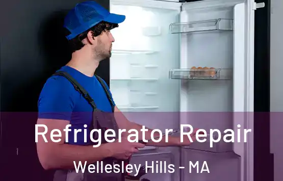  Refrigerator Repair Wellesley Hills - MA