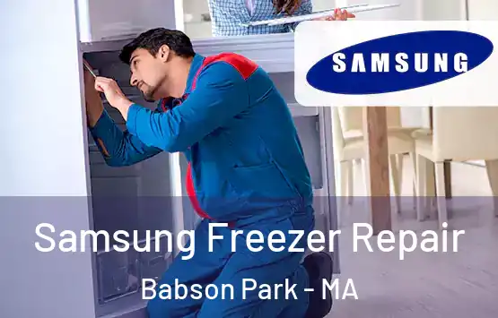  Samsung Freezer Repair Babson Park - MA