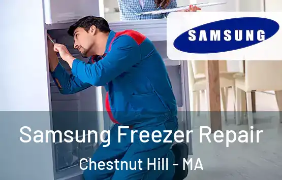  Samsung Freezer Repair Chestnut Hill - MA
