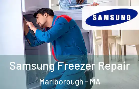  Samsung Freezer Repair Marlborough - MA