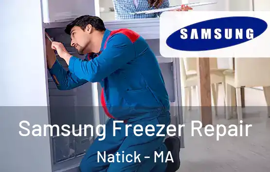  Samsung Freezer Repair Natick - MA