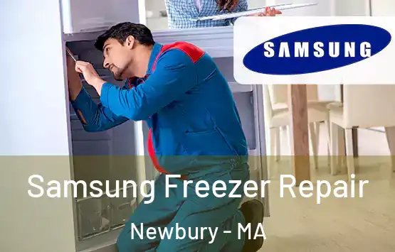  Samsung Freezer Repair Newbury - MA