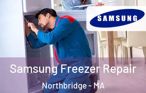  Samsung Freezer Repair Northbridge - MA