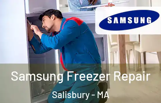  Samsung Freezer Repair Salisbury - MA