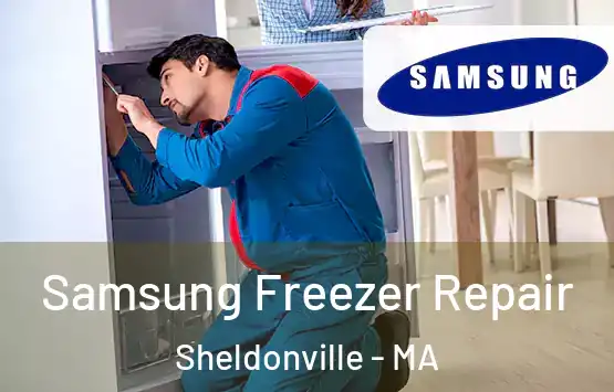  Samsung Freezer Repair Sheldonville - MA