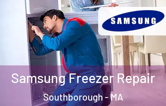  Samsung Freezer Repair Southborough - MA