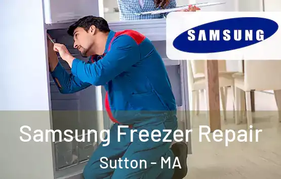  Samsung Freezer Repair Sutton - MA