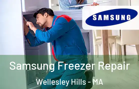  Samsung Freezer Repair Wellesley Hills - MA