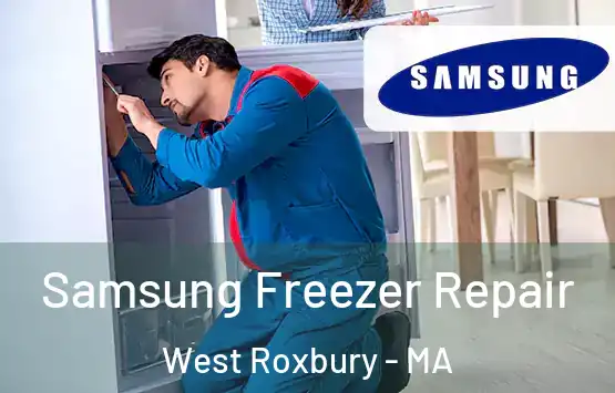  Samsung Freezer Repair West Roxbury - MA