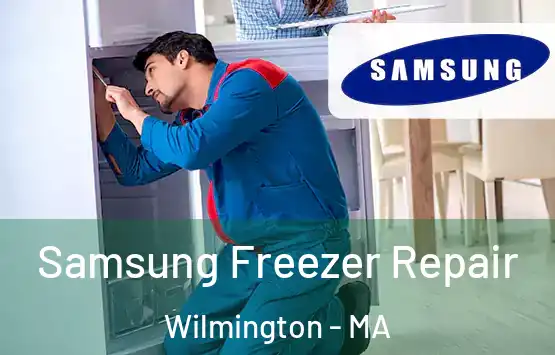  Samsung Freezer Repair Wilmington - MA