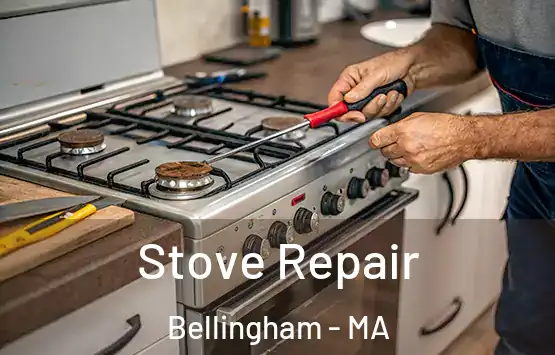  Stove Repair Bellingham - MA