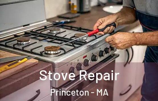  Stove Repair Princeton - MA
