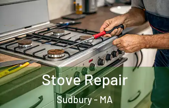  Stove Repair Sudbury - MA