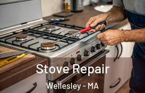  Stove Repair Wellesley - MA