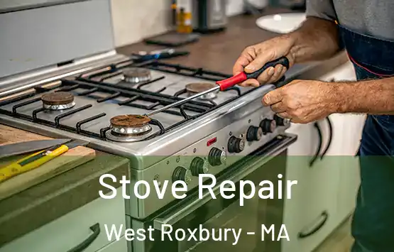  Stove Repair West Roxbury - MA