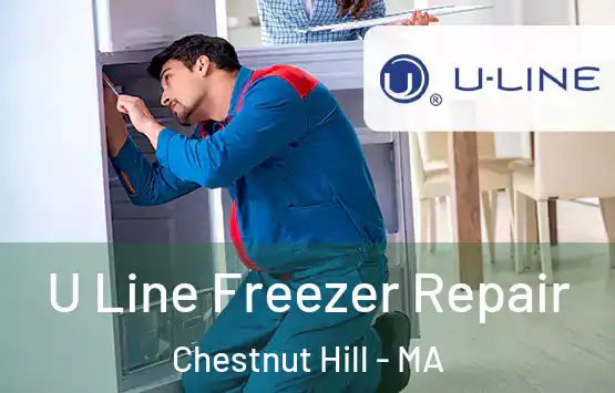  U Line Freezer Repair Chestnut Hill - MA
