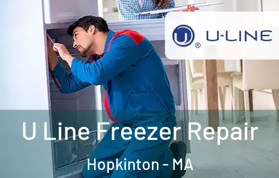  U Line Freezer Repair Hopkinton - MA